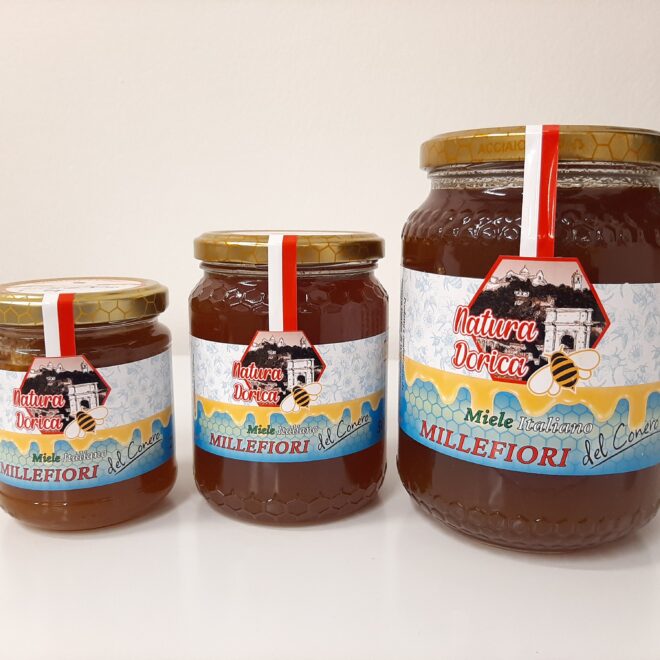 Miele-Millefiori-del-Conero-3pz