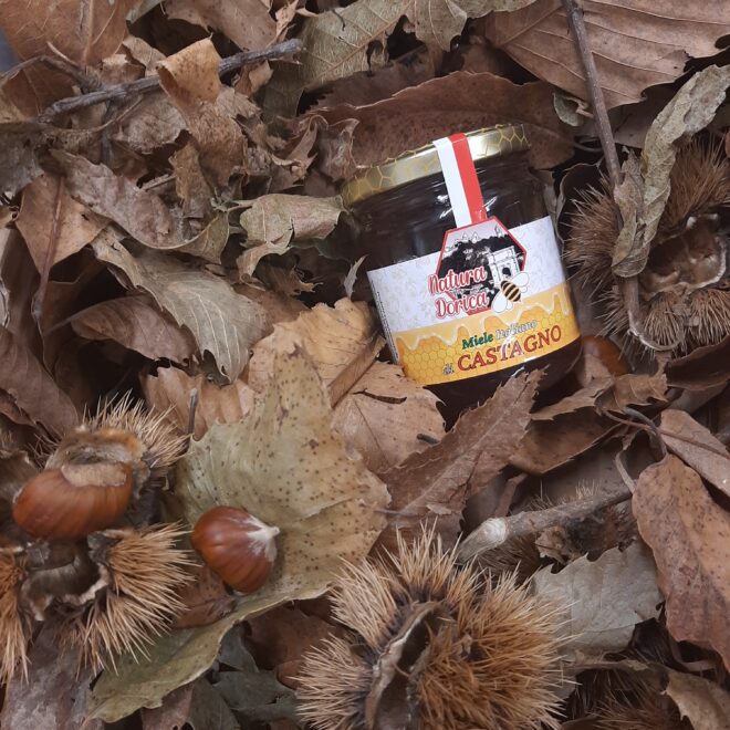 Miele-di-Castagno-art