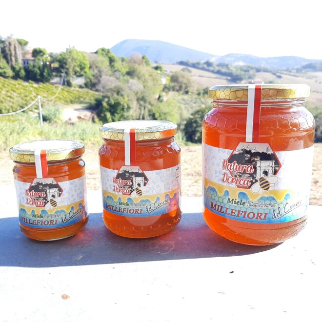 Miele-millefiori-del-Conero-generale